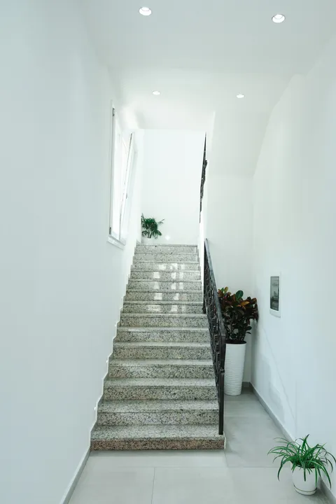 Bright stairwell with terrazzo steps and a potted plant
