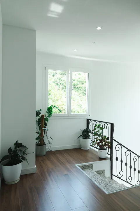 Sunlit landing with green plants by the window