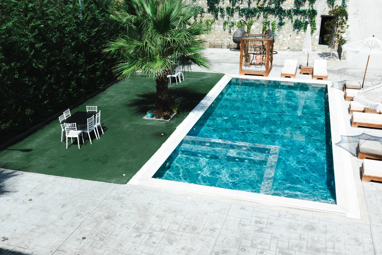 The pool and lawn with a palm tree, white garden chairs and a canopy daybed, enclosed by tall hedges