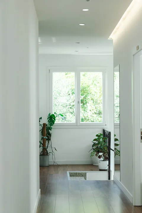 Upstairs hallway with green plants and a window onto the trees